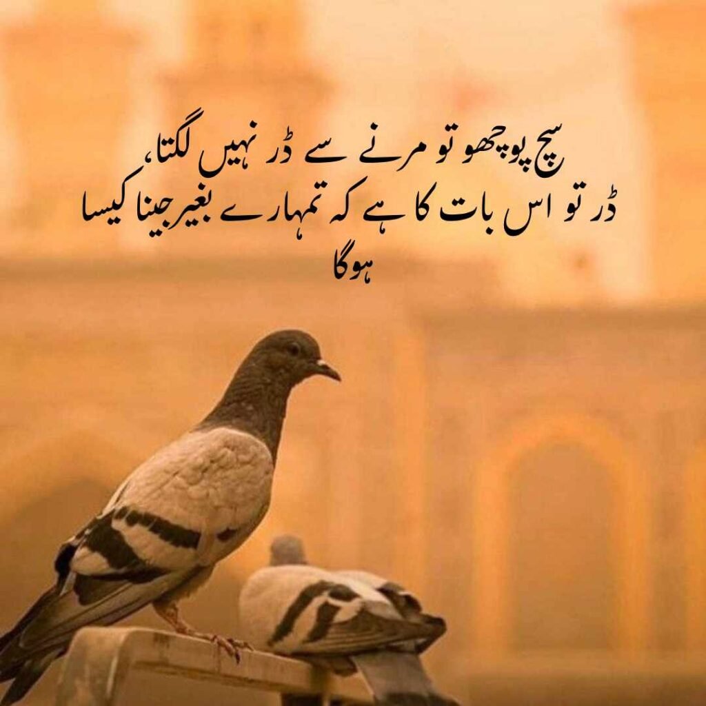 Emotional Shayari in Urdu