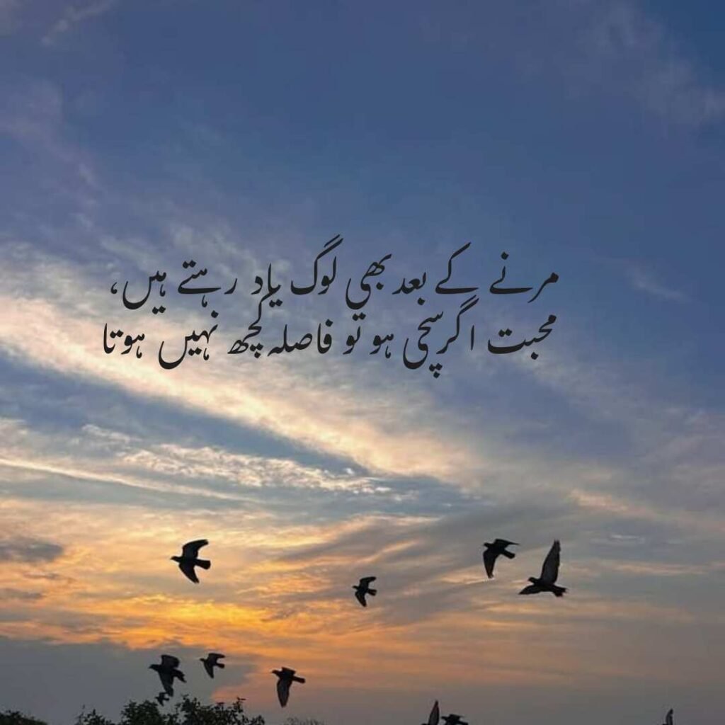 urdu shayri