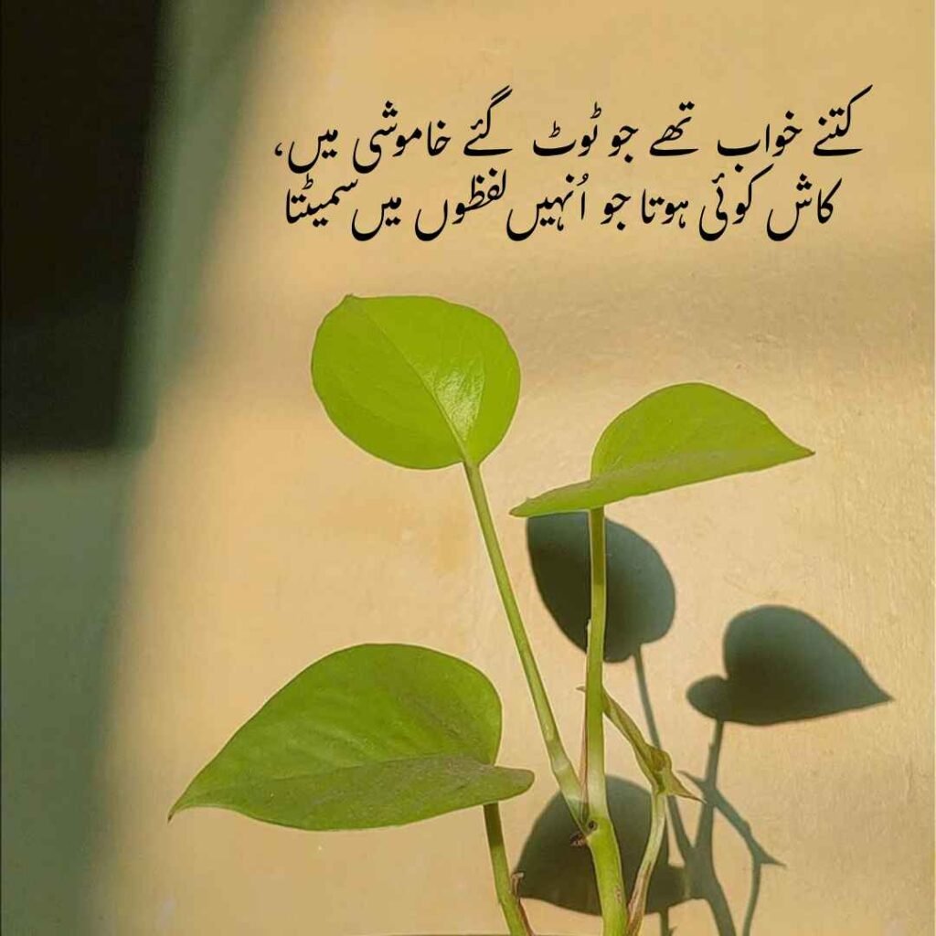 urdu shayri