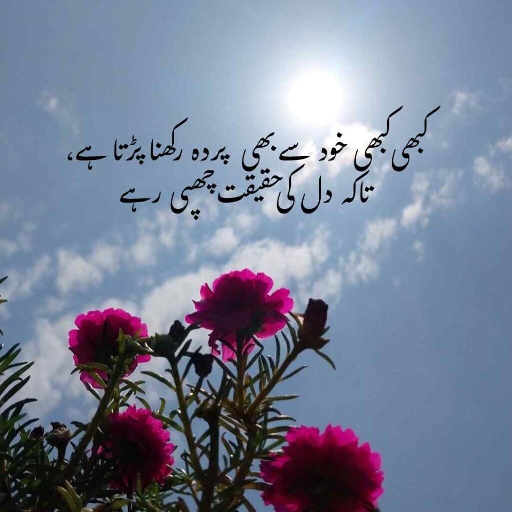 urdu shayri