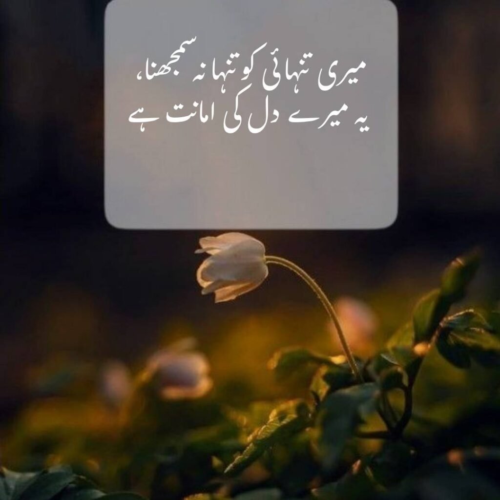 urdu shayri