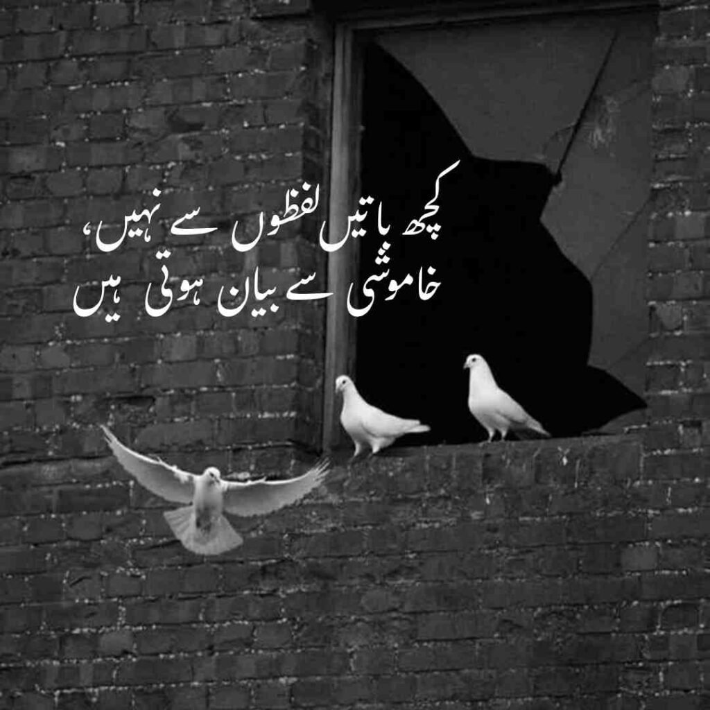 urdu shayri