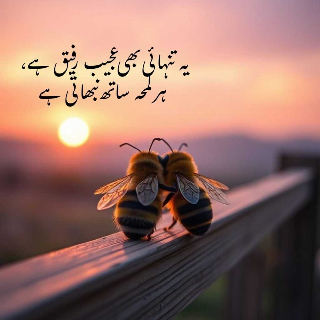 Soulful Shayari in Urdu