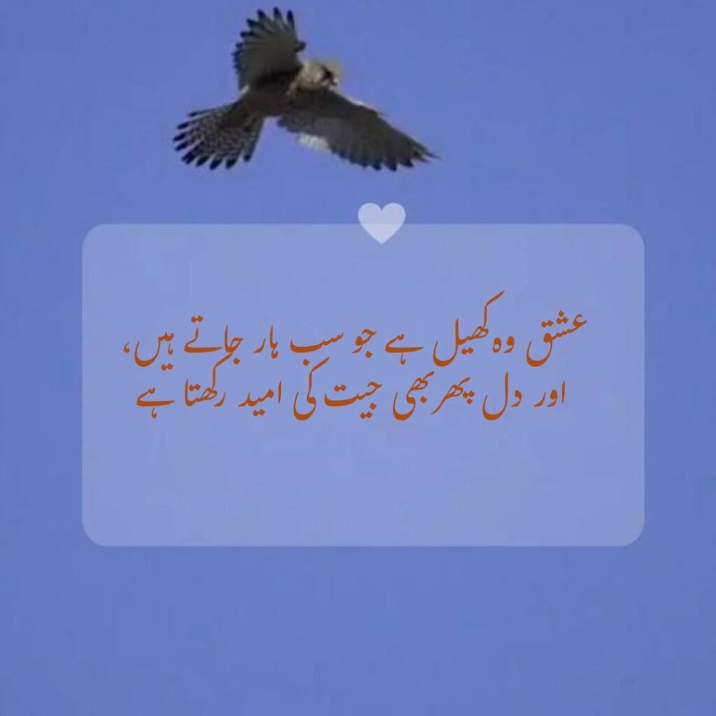 urdu shayri