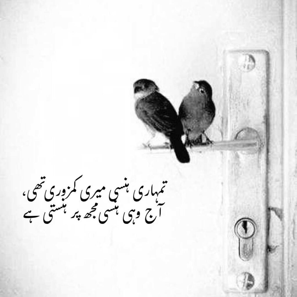urdu shayri