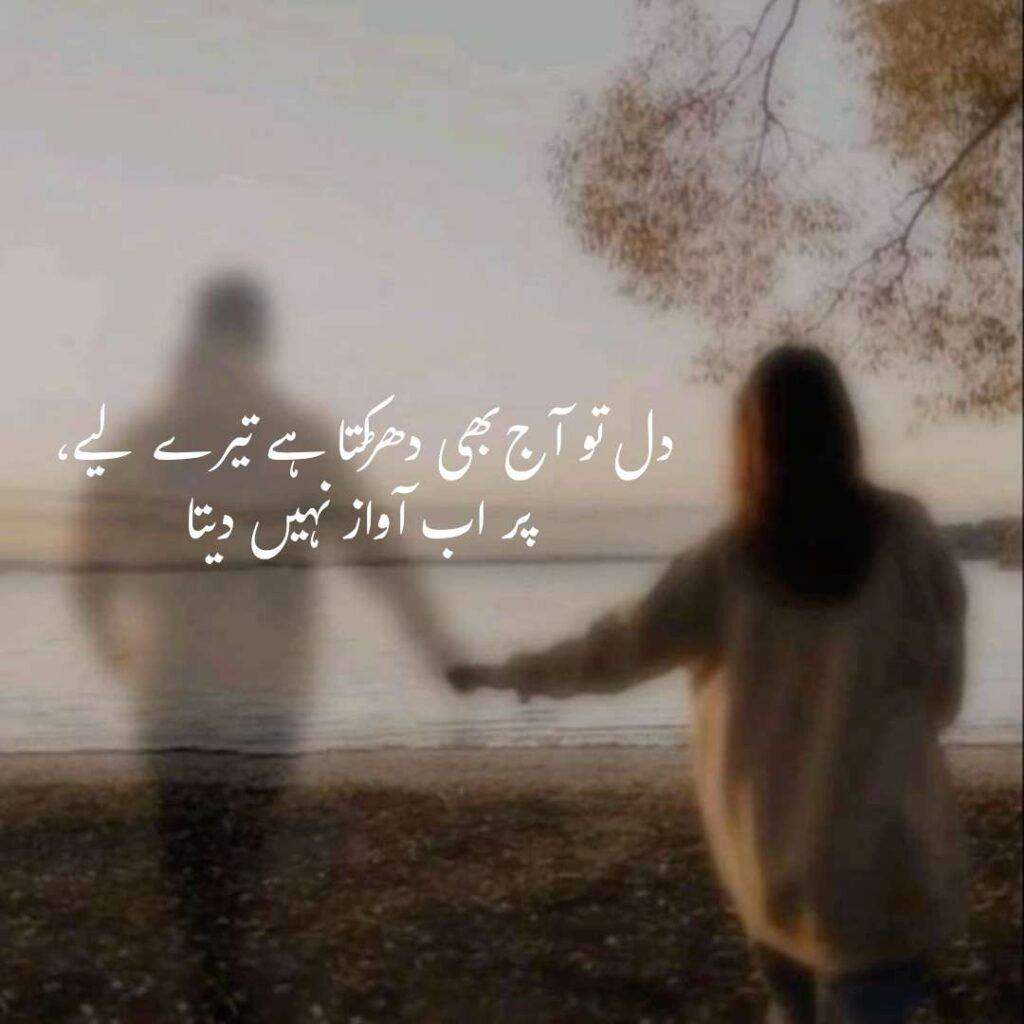 urdu shayri