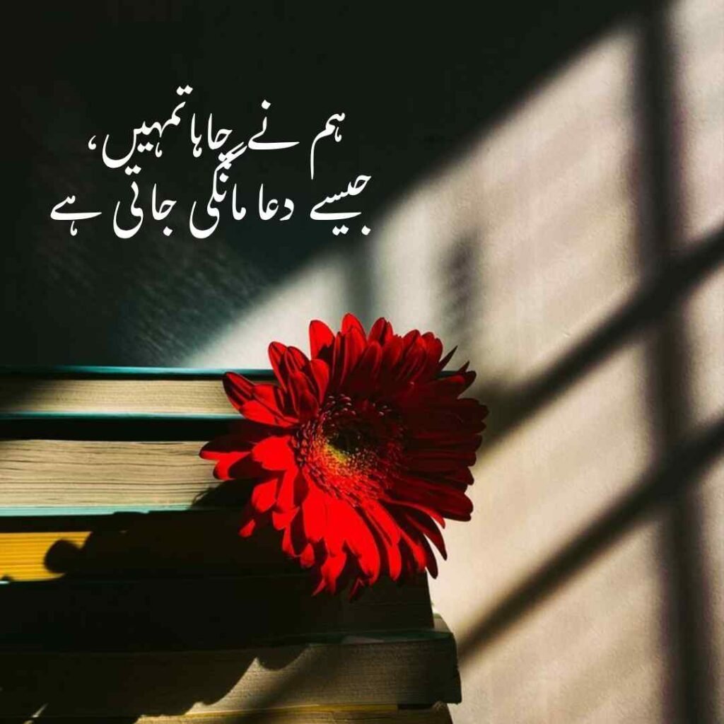 urdu shayri